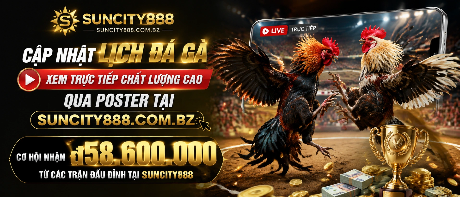 Featured cockfighting interface